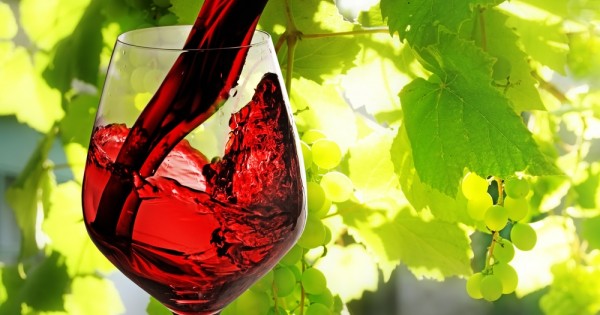 מחקר: האם יין אדום הוא תחליף לפעילות גופנית?