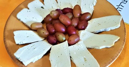 איך מכינים גבינה טבעונית פרוביוטית? שלב אחרי שלב