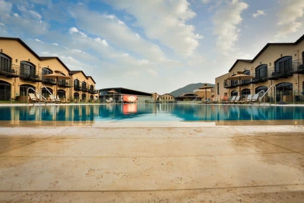 צילום: שלומי מוצפי