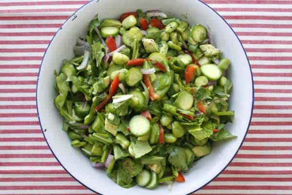 צילום: אפרת ליכטנשטט