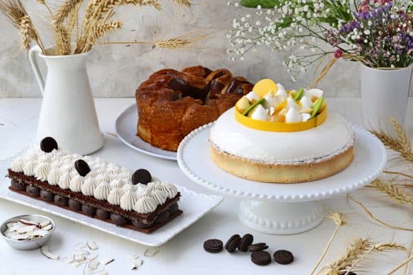 גייקובס. צילום: נטע ליבנה