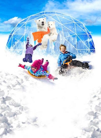 האיגלו בארנה- תמונת יחצ