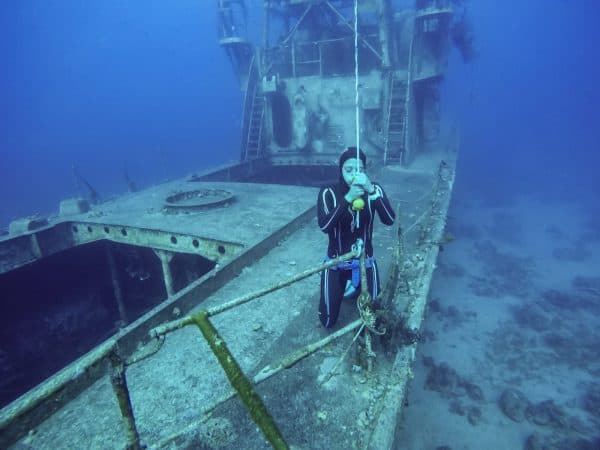 שלומית. צילום: תום פלד
