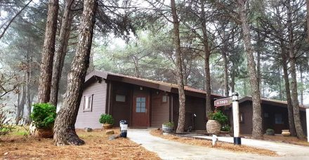 עכשיו זה הזמן לבקר ברמת הגולן