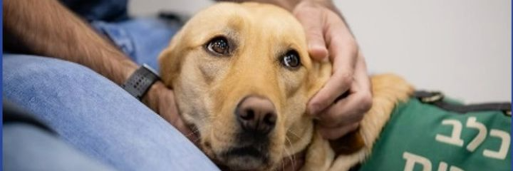 כלבי שירות לנשים נפגעות פוסט טראומה מינית- איך לא חשבו על זה קודם?